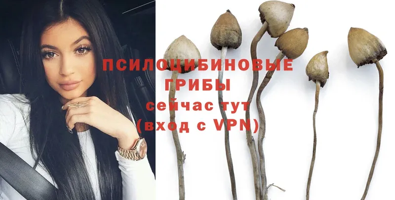 Псилоцибиновые грибы Magic Shrooms  blacksprut вход  Лаишево 